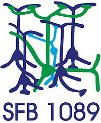 Logo SFB