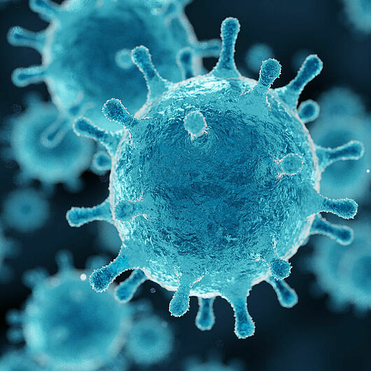 Symbolic image of a virus