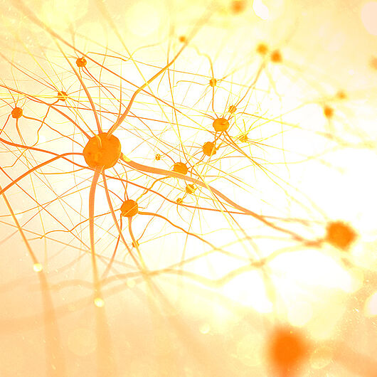 Neurons