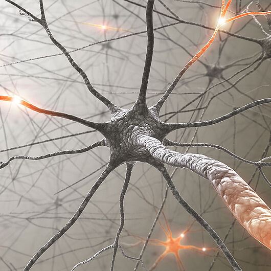 Symbolic image of a nerve cell.