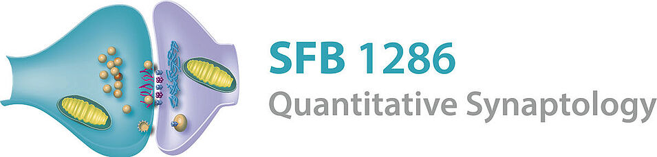 Logo SFB 1286