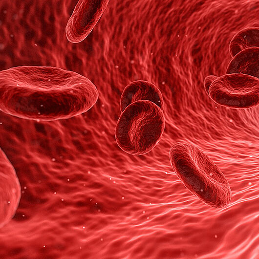 Blood cells