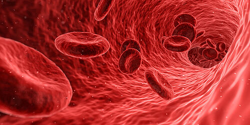 Symbolbild Blutzellen