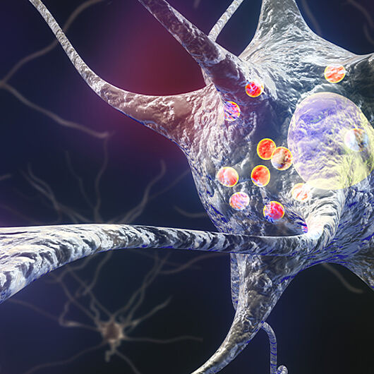 Symbolic image of a neuron.