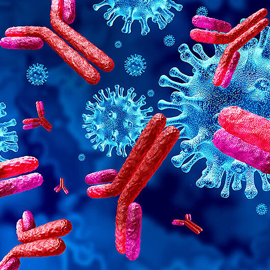 Symbol image shows antibodies and coronaviruses.