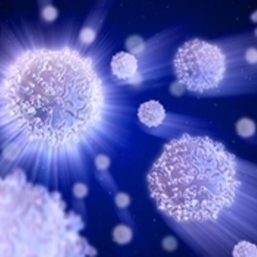 Digital rendering of white blood cells. 